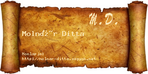 Molnár Ditta névjegykártya
